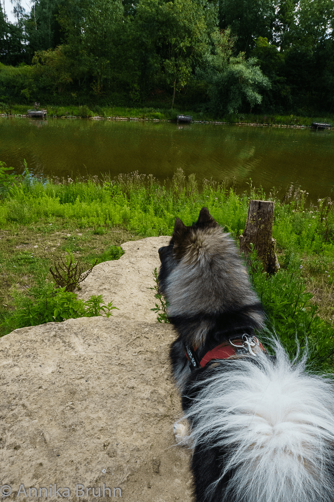 Q schaut auf den See